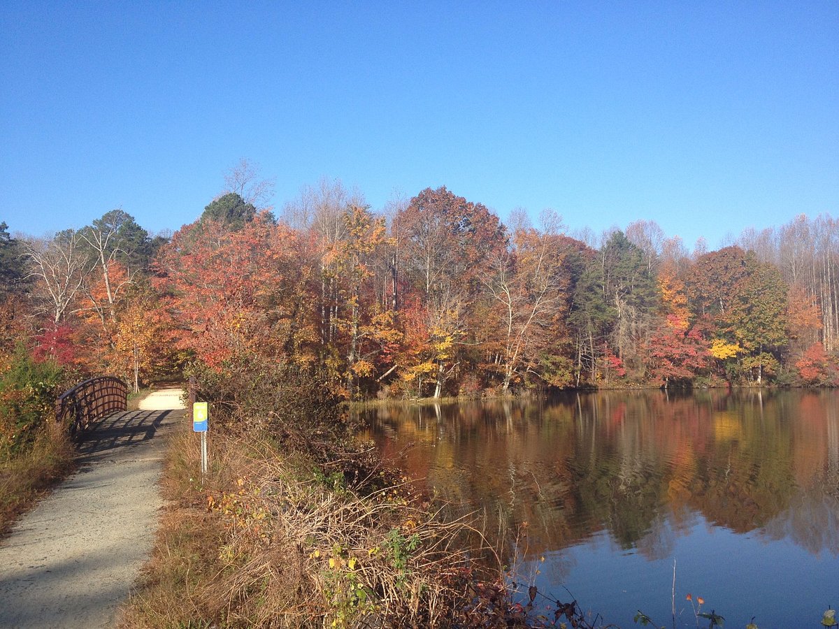lake with beautiful trees displaying fall colors